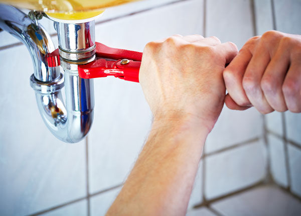 About Primrose Plumbers